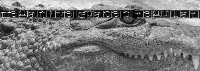 Negative Space 3D Regular Example 3