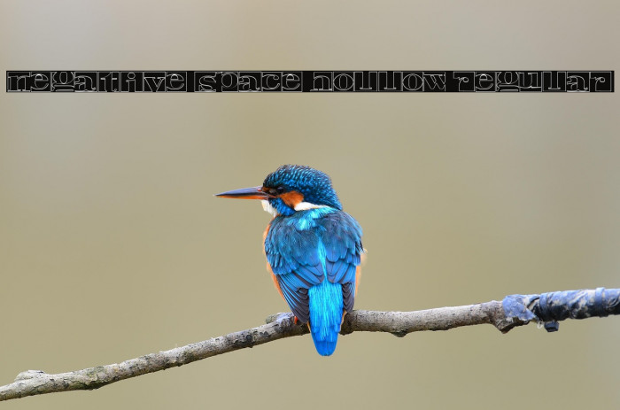 Negative Space Hollow Regular Example 1