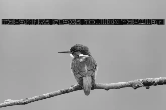 Negative Space Hollow Regular Font examples