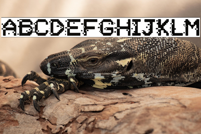 Negative System Example 1