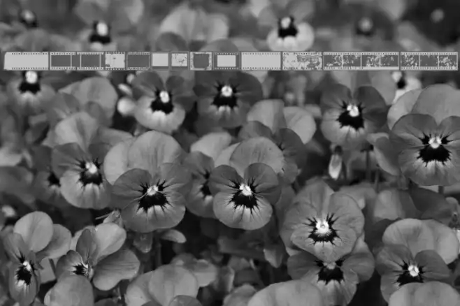 NegativeFilm Regular Example 1