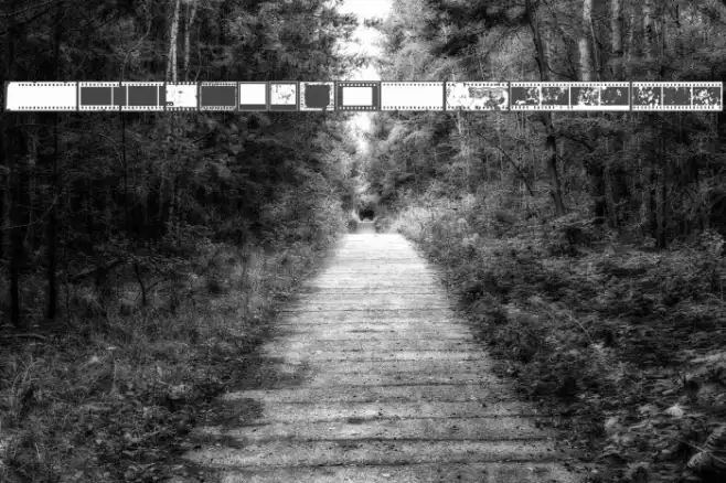 NegativeFilm Regular Example 3