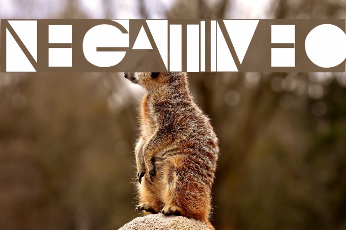 NegativeO Font examples