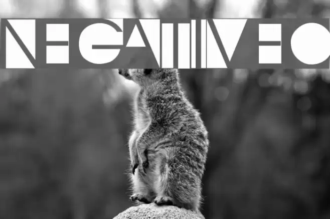 NegativeO Caratteri examples