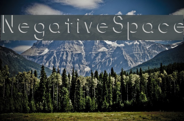 NegativeSpace Font examples