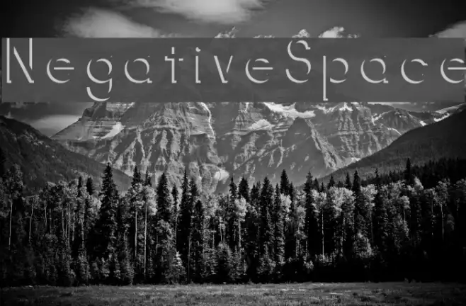 NegativeSpace Example 2