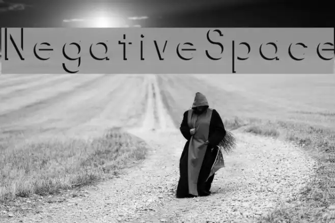 NegativeSpace Example 3