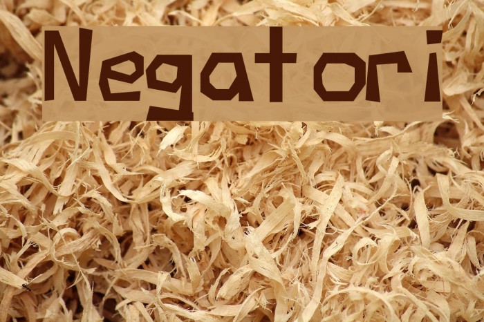 Negatori Font examples