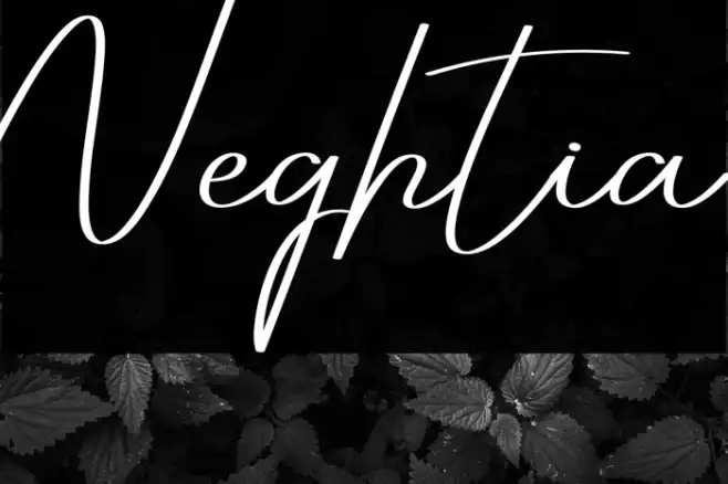 Neghtia Example 1