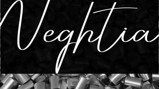 Neghtia Example 3