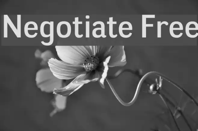 Negotiate Free Example 2