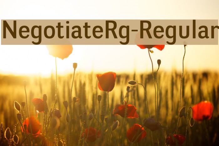 NegotiateRg-Regular Font examples