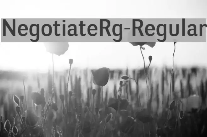 NegotiateRg-Regular Example 1