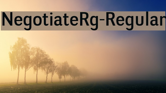 NegotiateRg-Regular Font examples