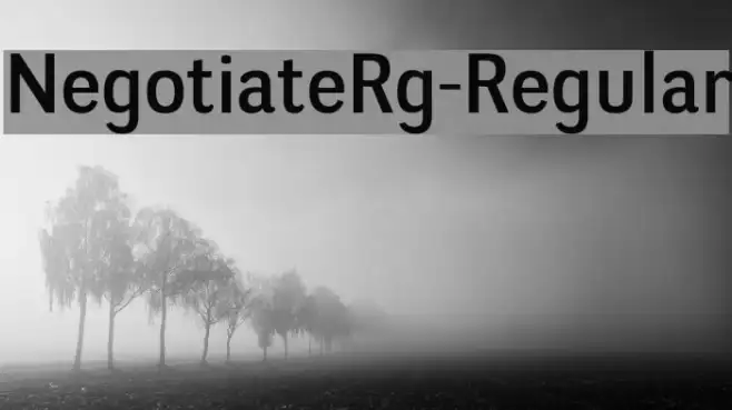 NegotiateRg-Regular Example 2