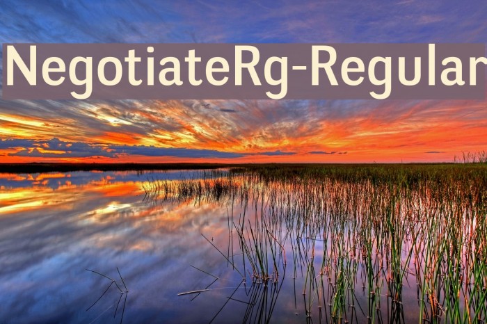 NegotiateRg-Regular Font examples