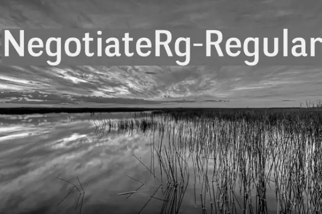 NegotiateRg-Regular Example 3