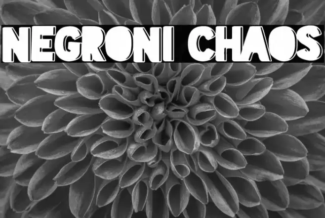 Negroni Chaos Font examples