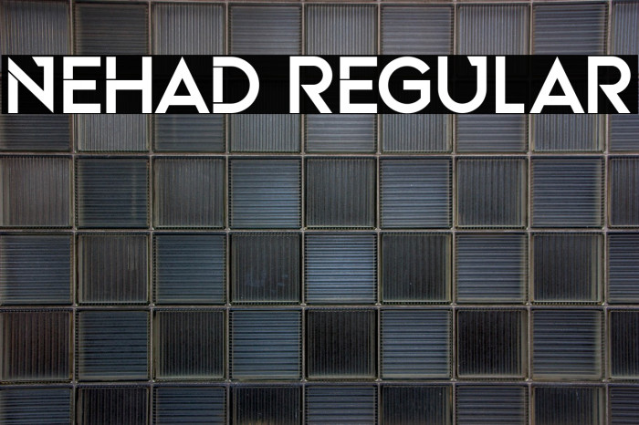 Nehad Regular Example 1