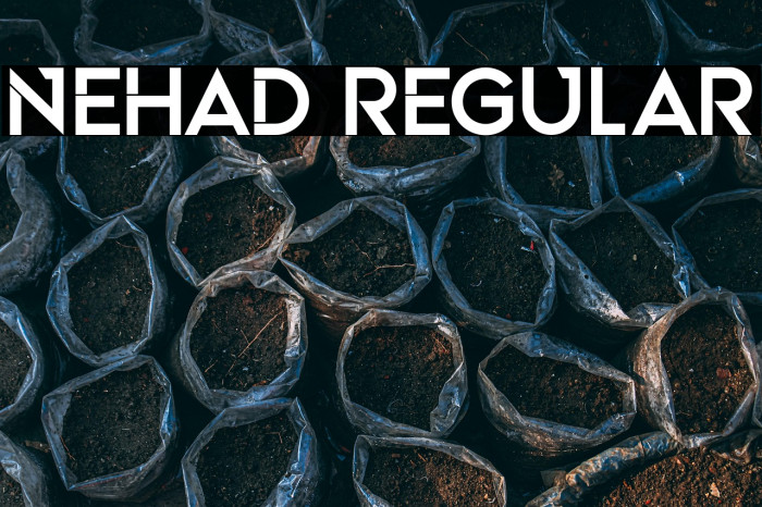 Nehad Regular Example 2