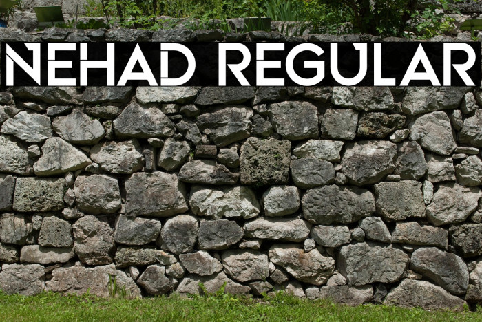 Nehad Regular Example 3