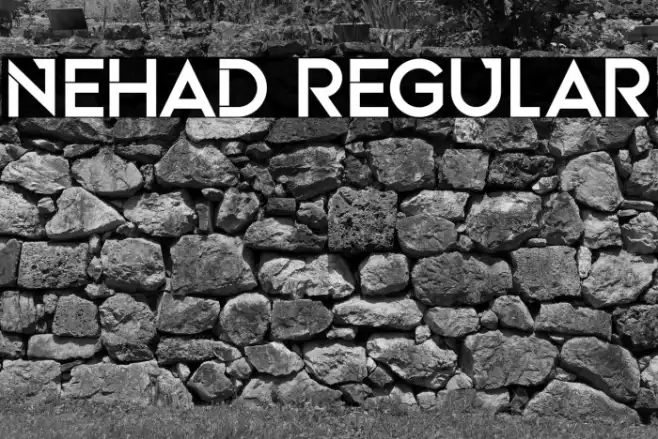 Nehad Regular Example 3