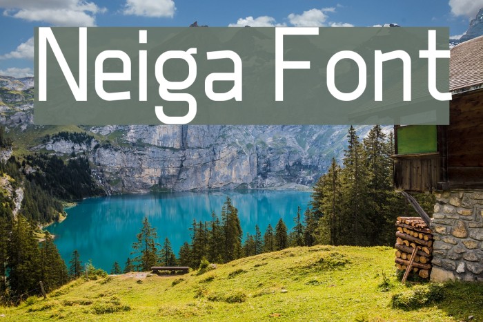 Neiga Font examples
