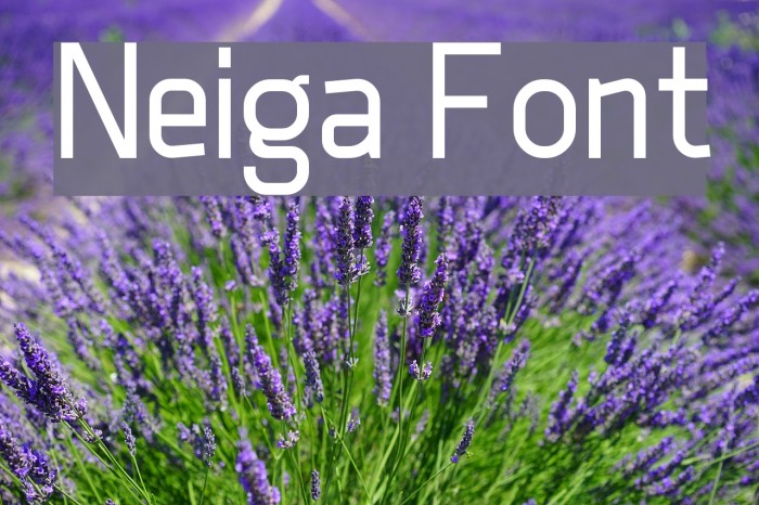 Neiga Font examples