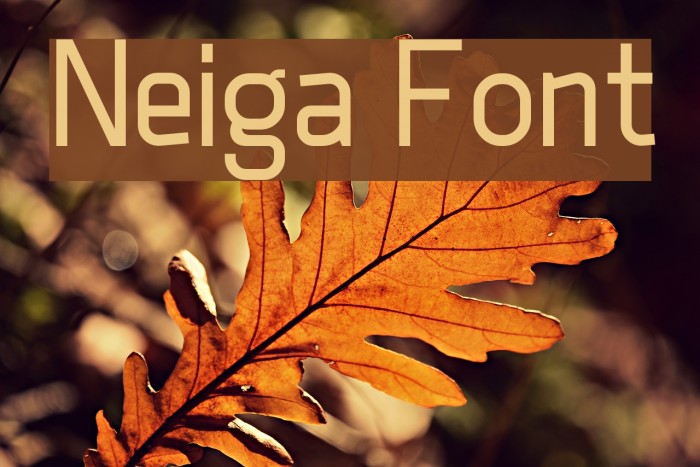 Neiga Font examples