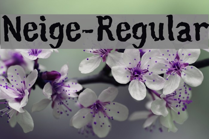 Neige-Regular Font examples