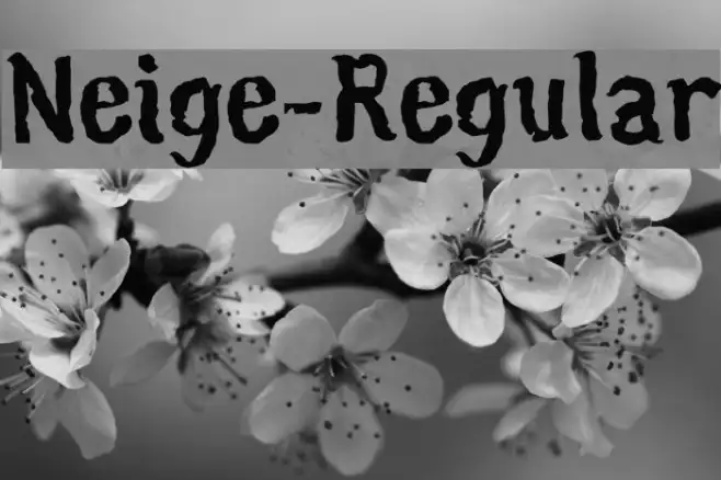Neige-Regular Example 1