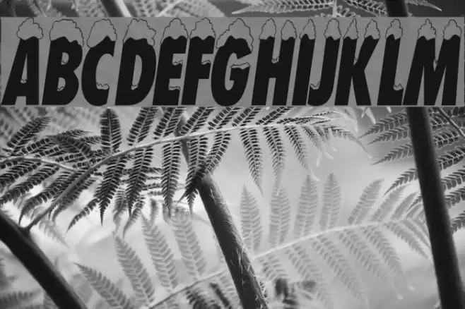 NeigeCondensed Шрифта examples