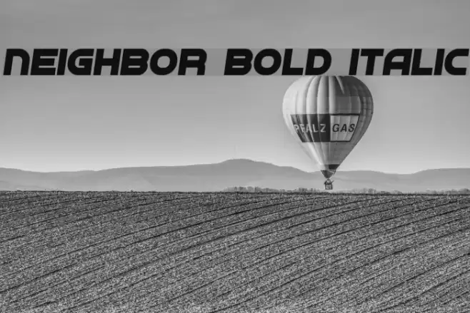 Neighbor Bold Italic Font examples
