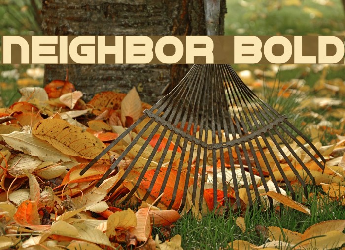 Neighbor Bold Font examples