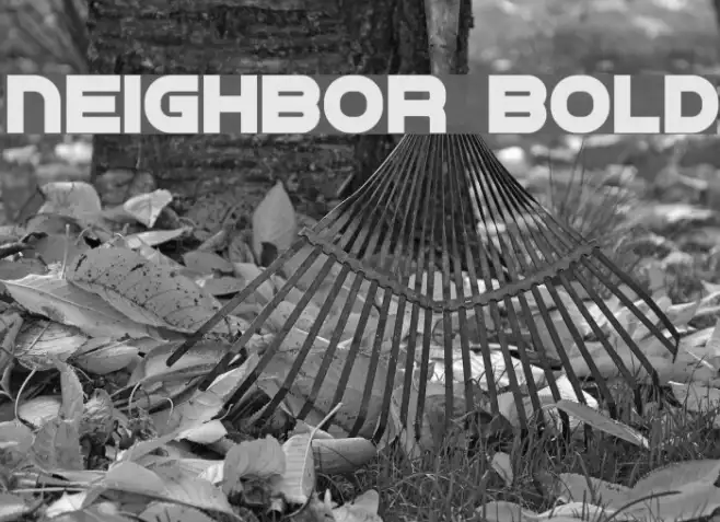 Neighbor Bold Example 2