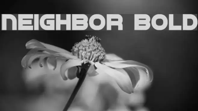 Neighbor Bold Example 3