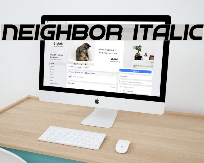 Neighbor Italic Font examples