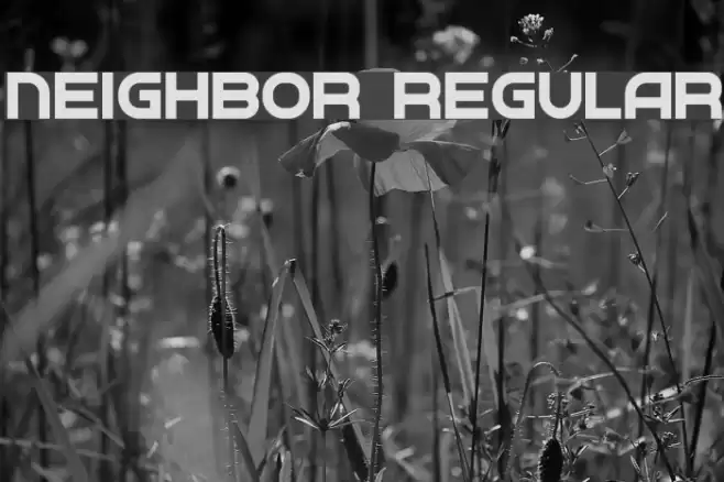 Neighbor Regular Font examples