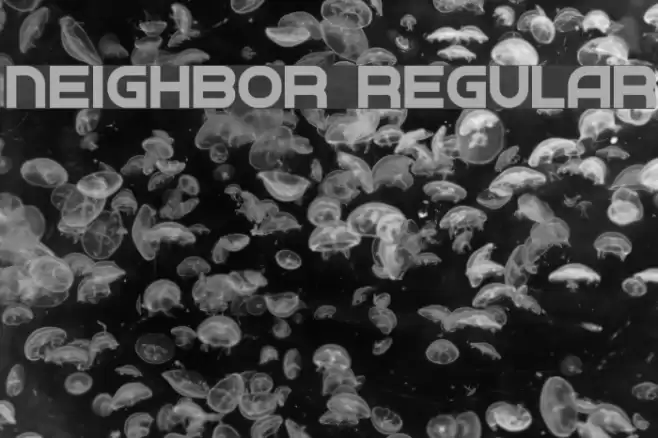 Neighbor Regular Font examples