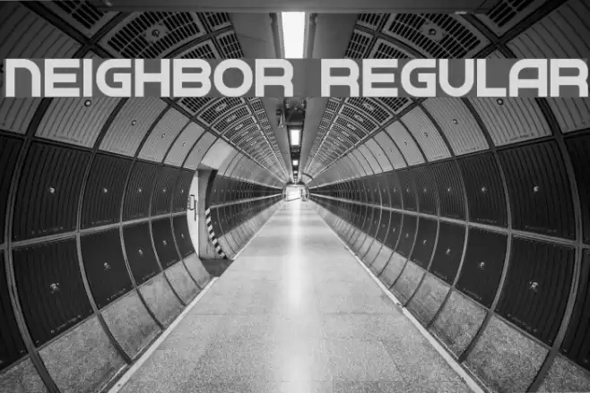 Neighbor Regular Font examples