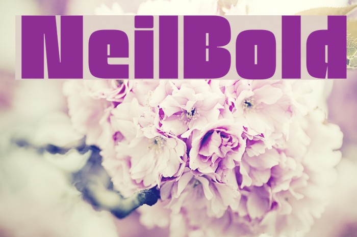 NeilBold Font examples