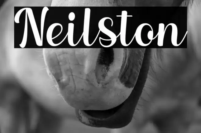 Neilston Font examples