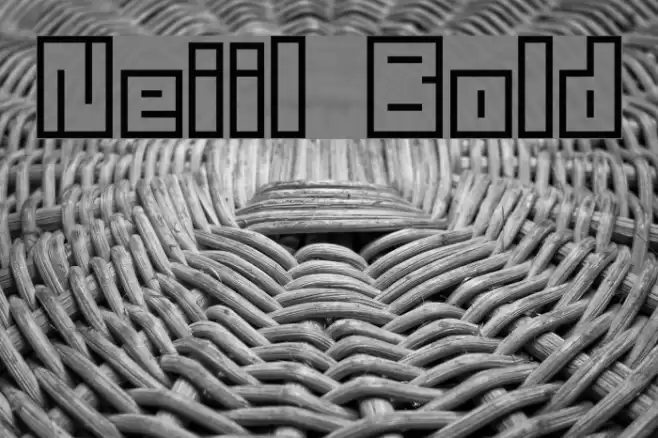 Neistil Bold Font examples