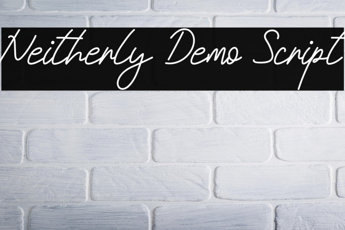 Neitherly Demo Script Example 2