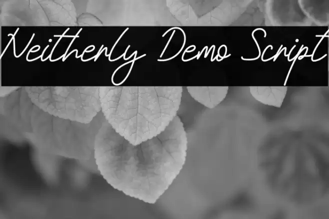 Neitherly Demo Script फ़ॉन्ट examples