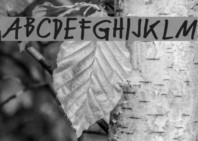 NekoKoNeko Font examples