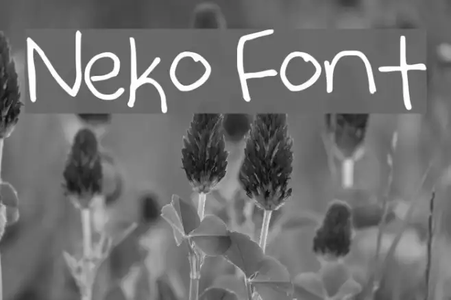 Neko Example 1