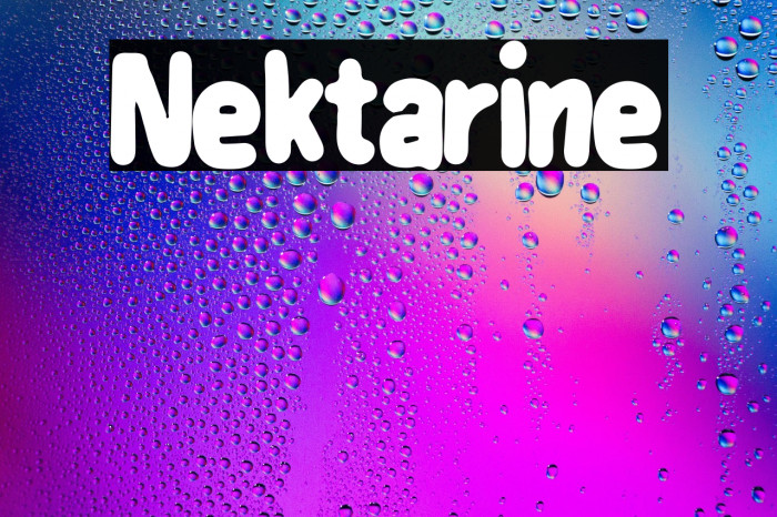 Nektarine Example 2