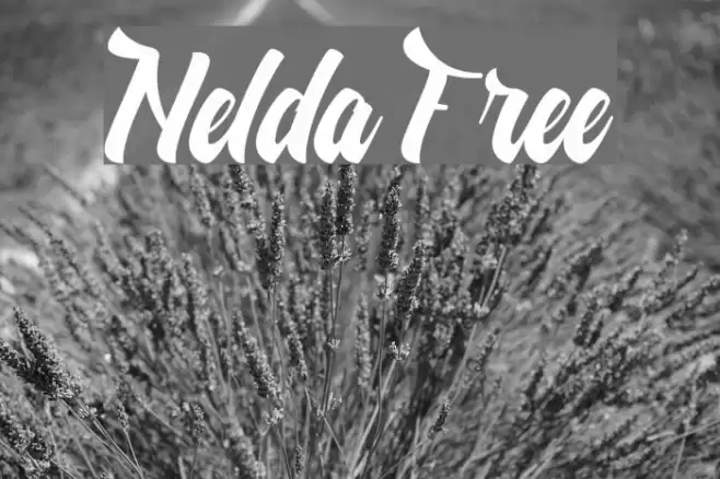 Nelda Free Font examples