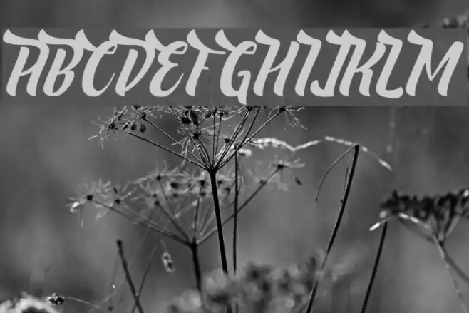 NeldaFree Font examples